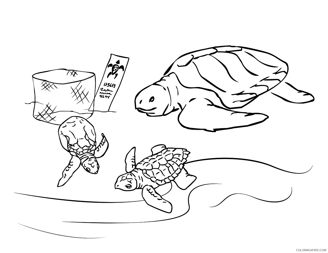 Sea Turtle Coloring Pages Animal Printable Sheets Printable Sea Turtle 2021 4358 Coloring4free