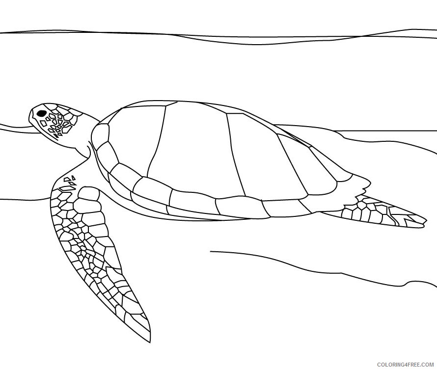 Sea Turtle Coloring Pages Animal Printable Sheets Printable Sea Turtle 2021 4359 Coloring4free