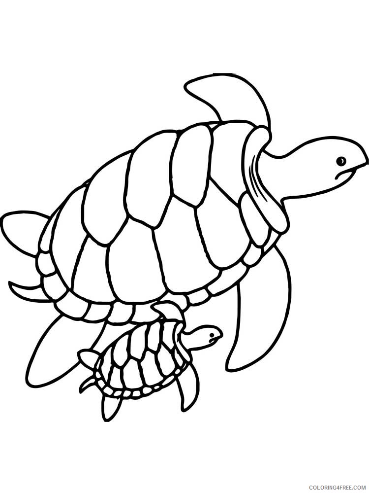 Sea Turtle Coloring Pages Animal Printable Sheets Sea Turtle 1 2021 4361 Coloring4free