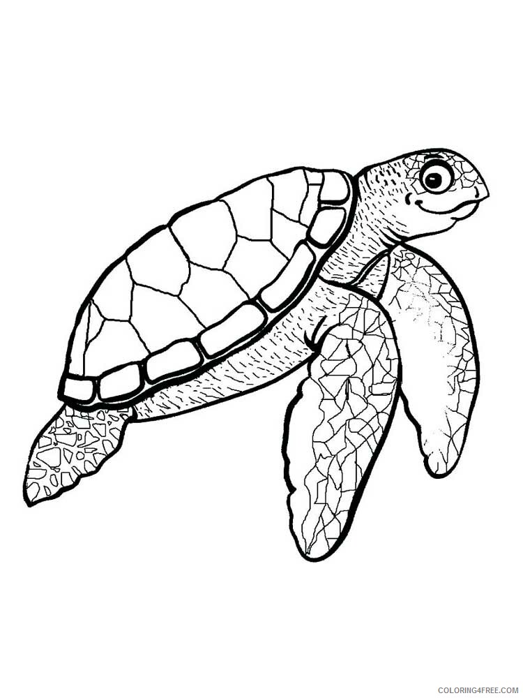 Sea Turtle Coloring Pages Animal Printable Sheets Sea Turtle 8 2021 4364 Coloring4free