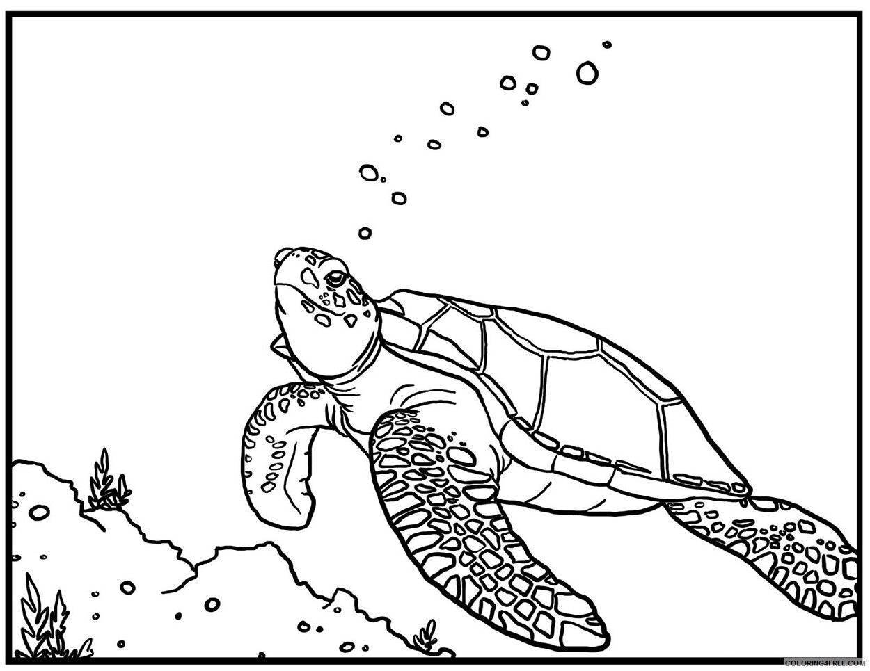 Sea Turtle Coloring Pages Animal Printable Sheets Sea Turtle For Kids 2021 4365 Coloring4free