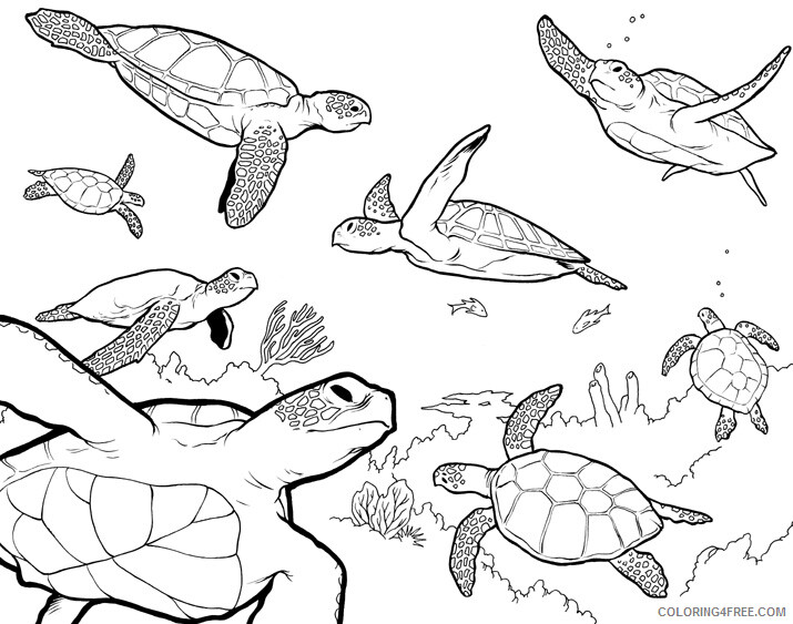 Sea Turtle Coloring Pages Animal Printable Sheets Sea Turtle to Print 2021 4368 Coloring4free