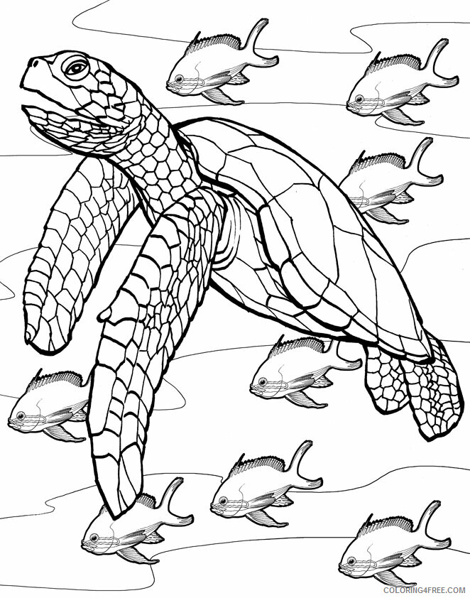 Sea Turtle Coloring Pages Animal Printable Sheets Sea Turtles 2021 4371 Coloring4free