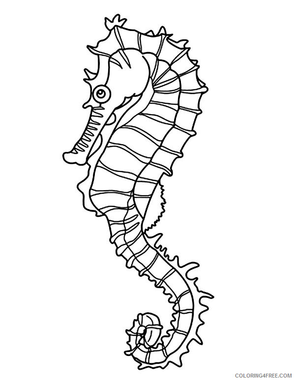 Seahorse Coloring Pages Animal Printable Sheets Free Seahorse 2021 4386 Coloring4free