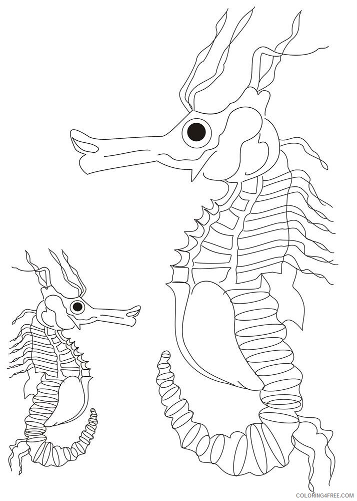 Seahorse Coloring Pages Animal Printable Sheets Free Seahorse to Print 2021 4387 Coloring4free