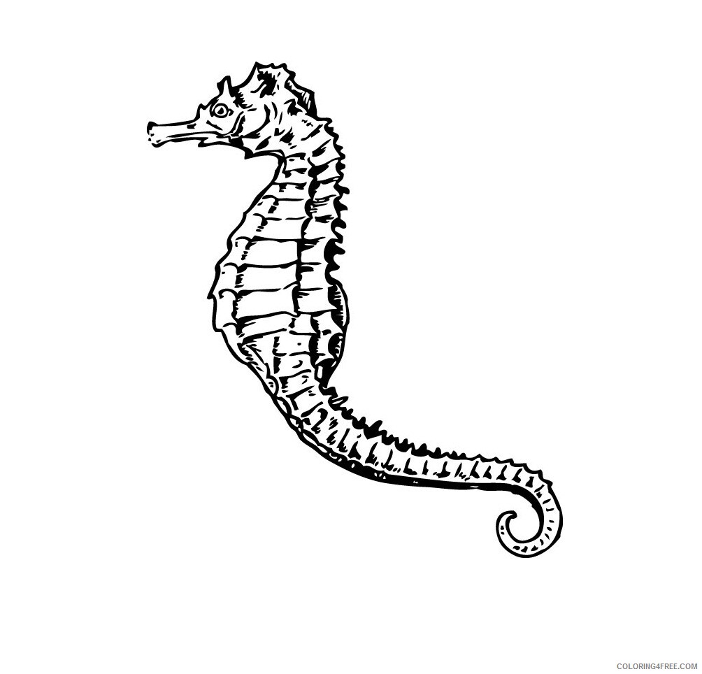 Seahorse Coloring Pages Animal Printable Sheets Printable Seahorse 2 2021 4390 Coloring4free