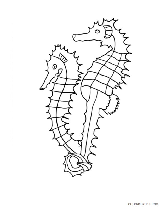 Seahorse Coloring Pages Animal Printable Sheets Seahorse 2 2021 4401 Coloring4free