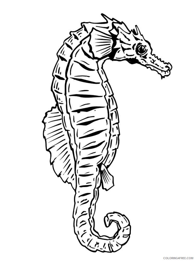 Seahorse Coloring Pages Animal Printable Sheets Seahorse 4 2021 4398 Coloring4free
