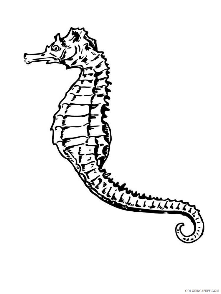 Seahorse Coloring Pages Animal Printable Sheets Seahorse 6 2021 4399 Coloring4free