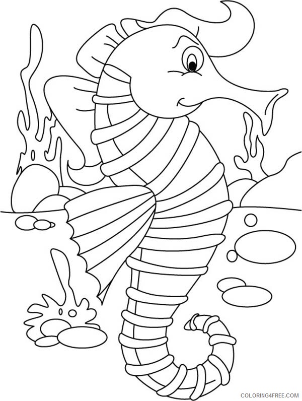 Seahorse Coloring Pages Animal Printable Sheets Seahorse Pictures to 2021 4406 Coloring4free