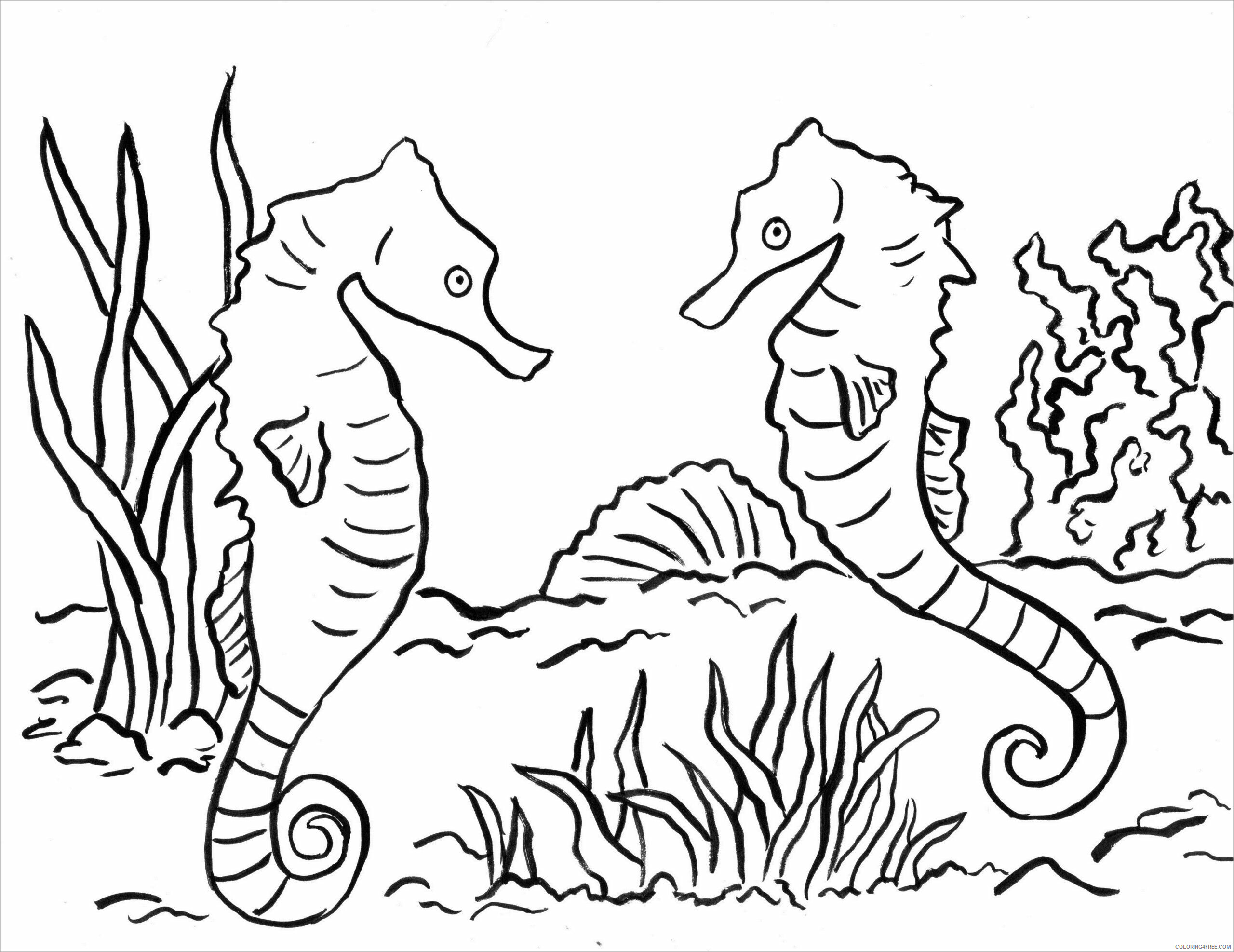 Seahorse Coloring Pages Animal Printable Sheets free seahorse to print 2021 4388 Coloring4free