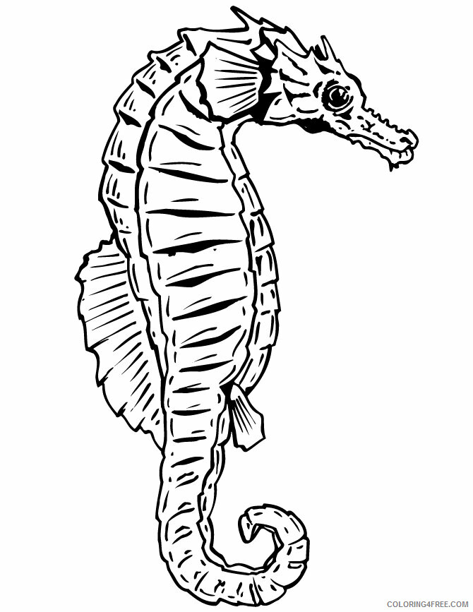 Seahorse Coloring Sheets Animal Coloring Pages Printable 2021 3953 Coloring4free