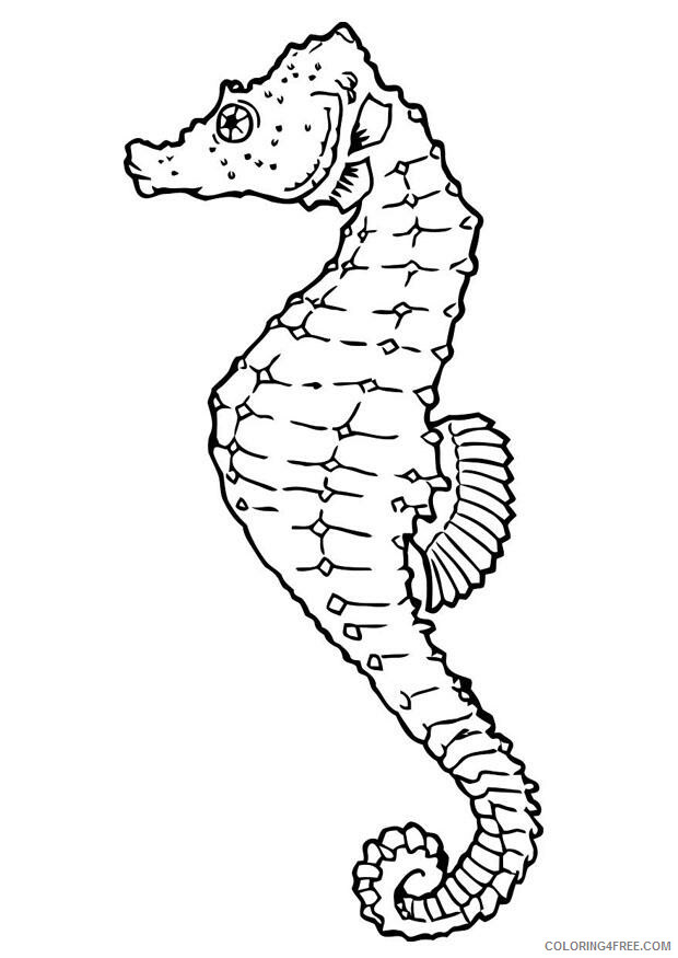 Seahorse Coloring Sheets Animal Coloring Pages Printable 2021 3955 Coloring4free