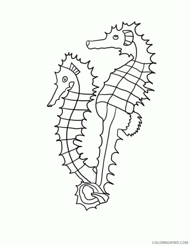 Seahorse Coloring Sheets Animal Coloring Pages Printable 2021 3956 Coloring4free