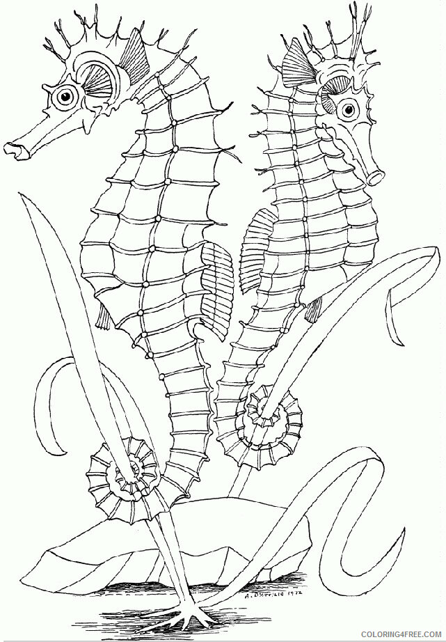 Seahorse Coloring Sheets Animal Coloring Pages Printable 2021 3963 Coloring4free