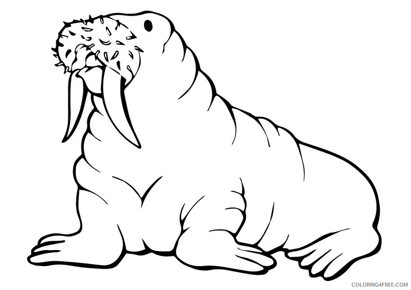 Seal Coloring Sheets Animal Coloring Pages Printable 2021 3968 Coloring4free