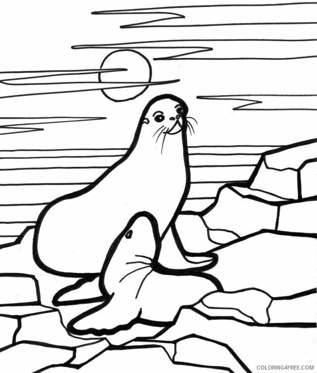 Seal Coloring Sheets Animal Coloring Pages Printable 2021 3972 Coloring4free