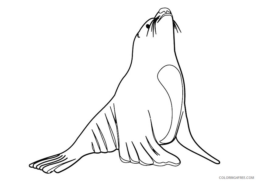 Seal Coloring Sheets Animal Coloring Pages Printable 2021 3973 Coloring4free