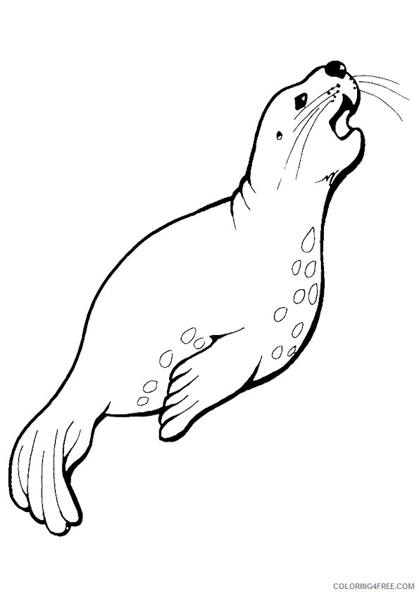 Seal Coloring Sheets Animal Coloring Pages Printable 2021 3977 Coloring4free