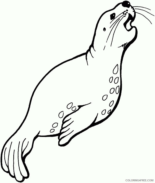 Seal Coloring Sheets Animal Coloring Pages Printable 2021 3984 Coloring4free