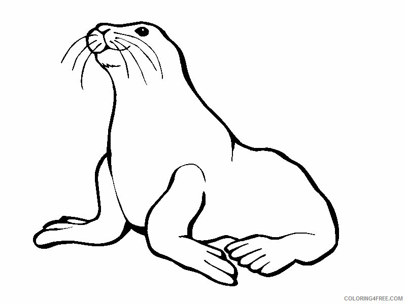 Seal Coloring Sheets Animal Coloring Pages Printable 2021 3990 Coloring4free