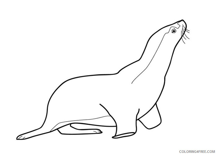 Seals Coloring Pages Animal Printable Sheets Seal 2021 4411 Coloring4free