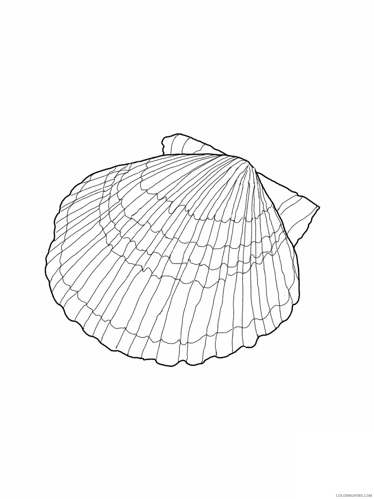 Seashell Coloring Pages Animal Printable Sheets Free Seashell For Kids 2021 4416 Coloring4free