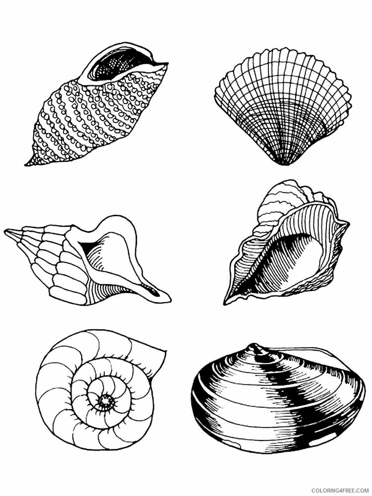 Seashell Coloring Pages Animal Printable Sheets Seashell 5 2021 4421 Coloring4free