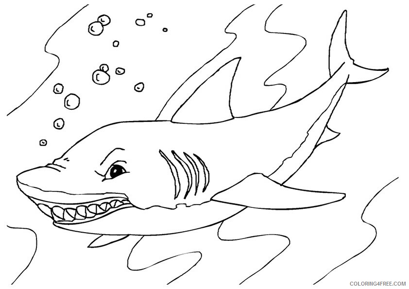 Shark Coloring Sheets Animal Coloring Pages Printable 2021 3995 Coloring4free