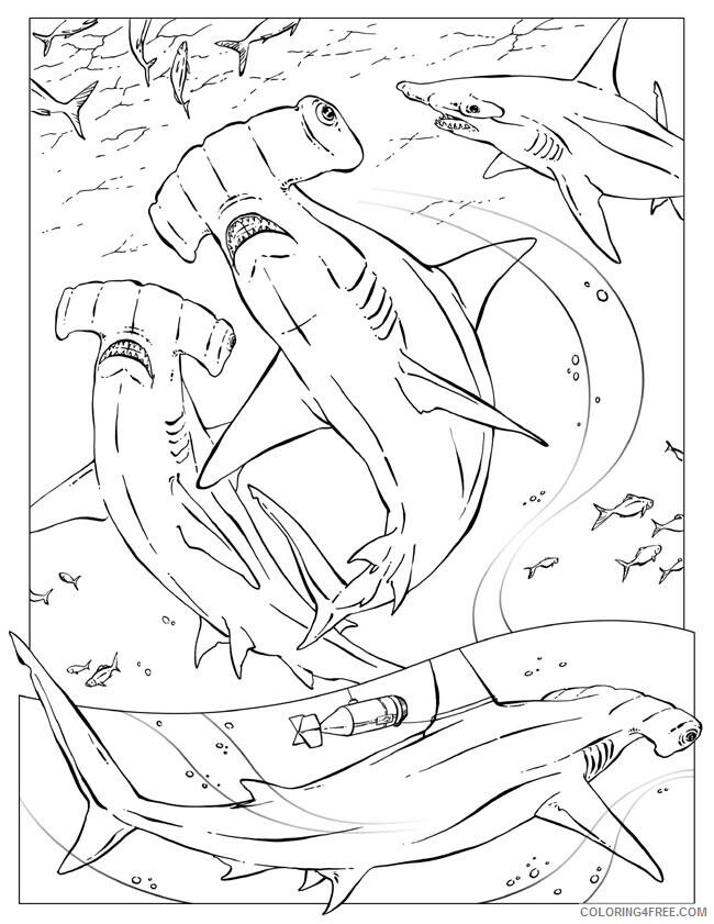 Shark Coloring Sheets Animal Coloring Pages Printable 2021 3998 Coloring4free