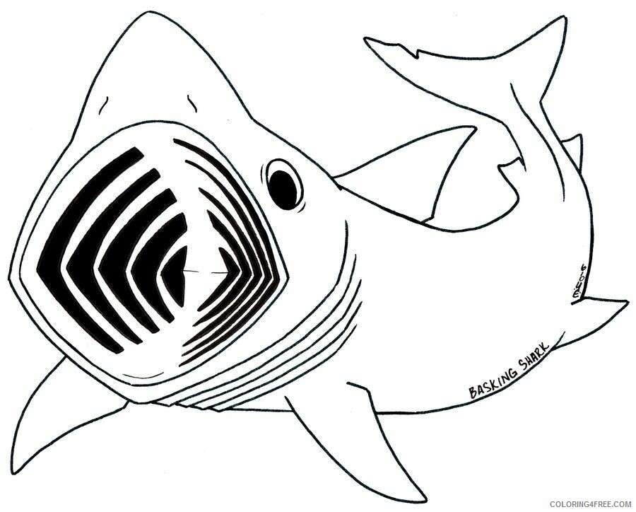 Shark Coloring Sheets Animal Coloring Pages Printable 2021 3999 Coloring4free