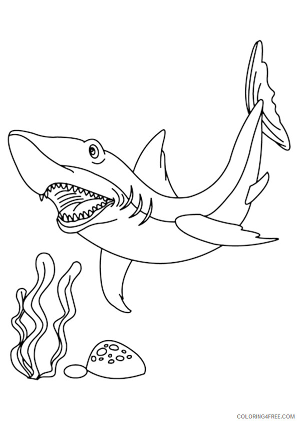 Shark Coloring Sheets Animal Coloring Pages Printable 2021 4000 Coloring4free