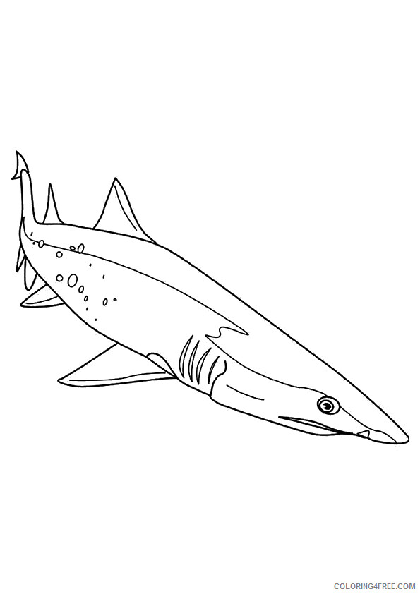 Shark Coloring Sheets Animal Coloring Pages Printable 2021 4007 Coloring4free