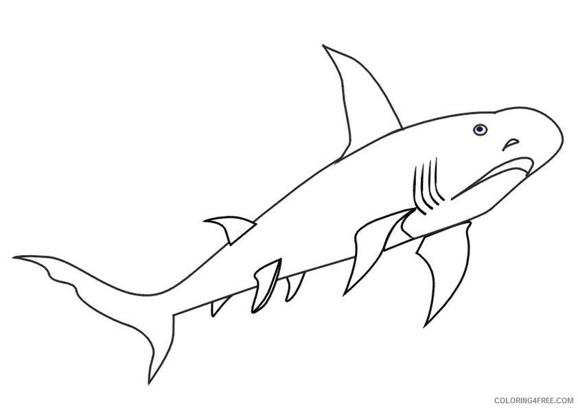 Shark Coloring Sheets Animal Coloring Pages Printable 2021 4011 Coloring4free
