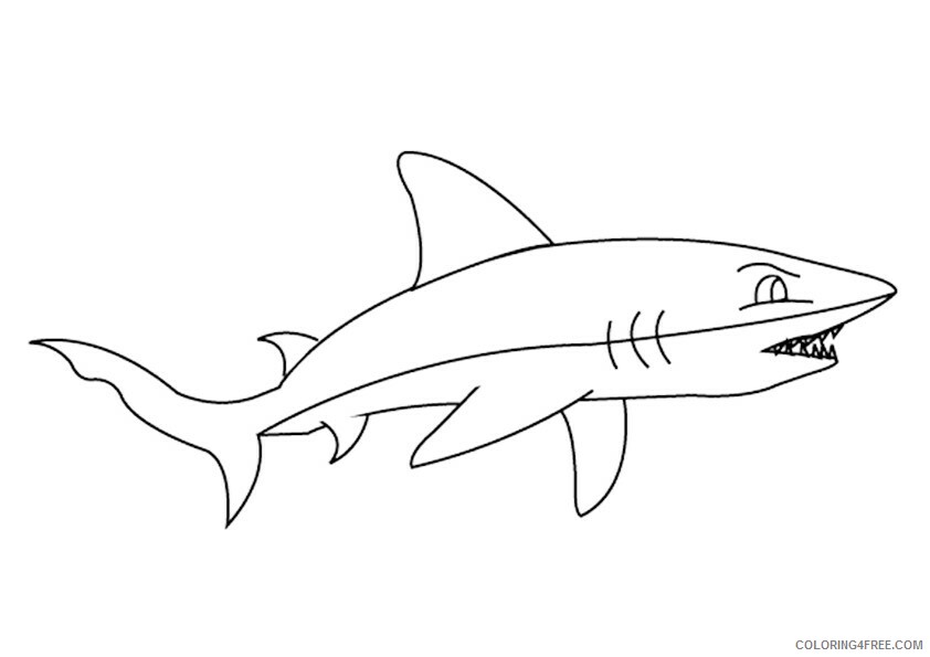 Shark Coloring Sheets Animal Coloring Pages Printable 2021 4014 Coloring4free