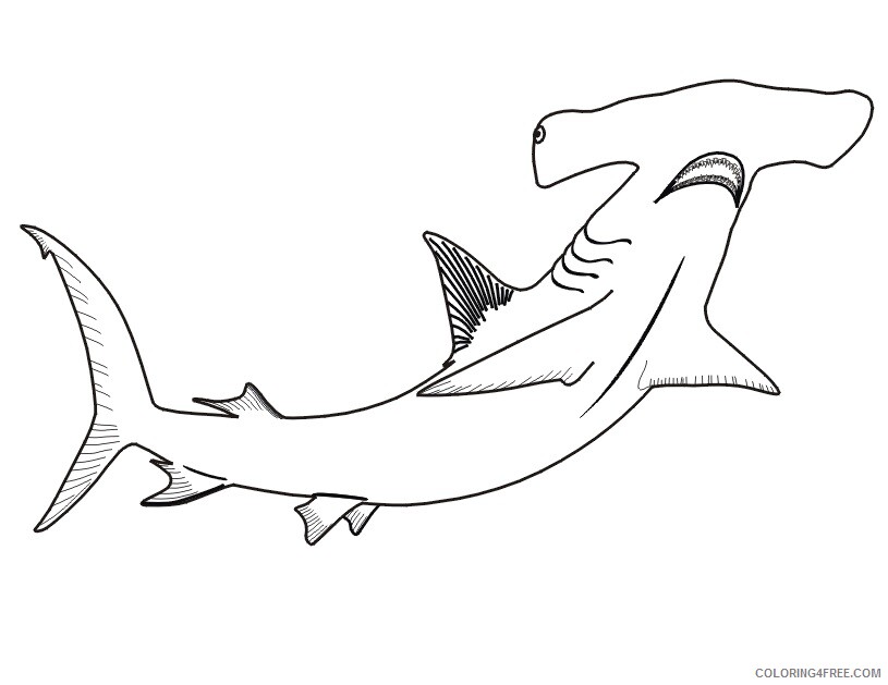 Shark Coloring Sheets Animal Coloring Pages Printable 2021 4030 Coloring4free