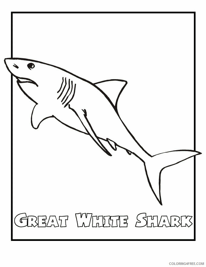Shark Coloring Sheets Animal Coloring Pages Printable 2021 4031 Coloring4free