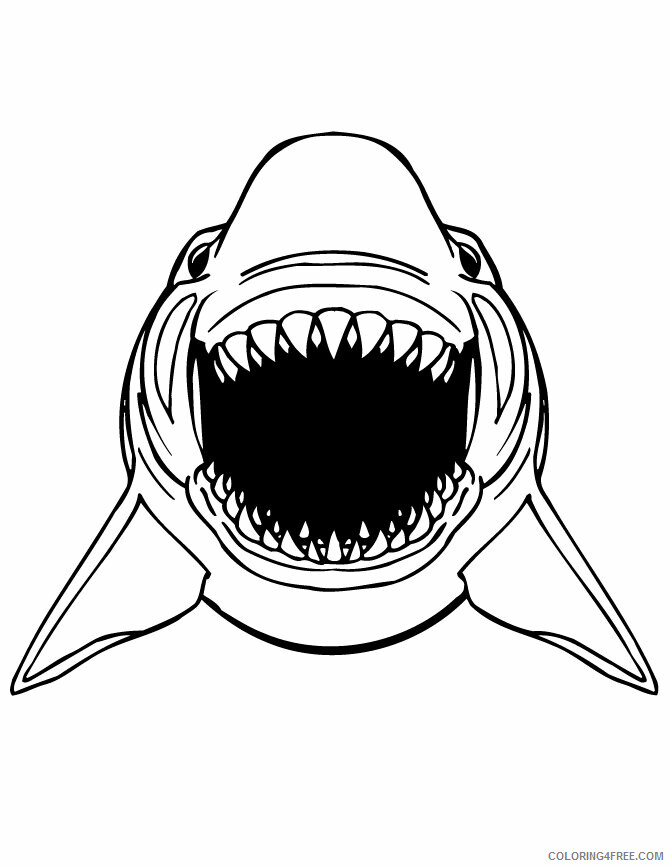 Shark Coloring Sheets Animal Coloring Pages Printable 2021 4032 Coloring4free