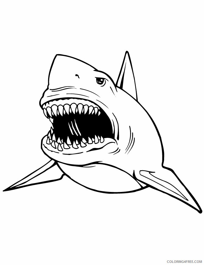 Shark Coloring Sheets Animal Coloring Pages Printable 2021 4038 Coloring4free