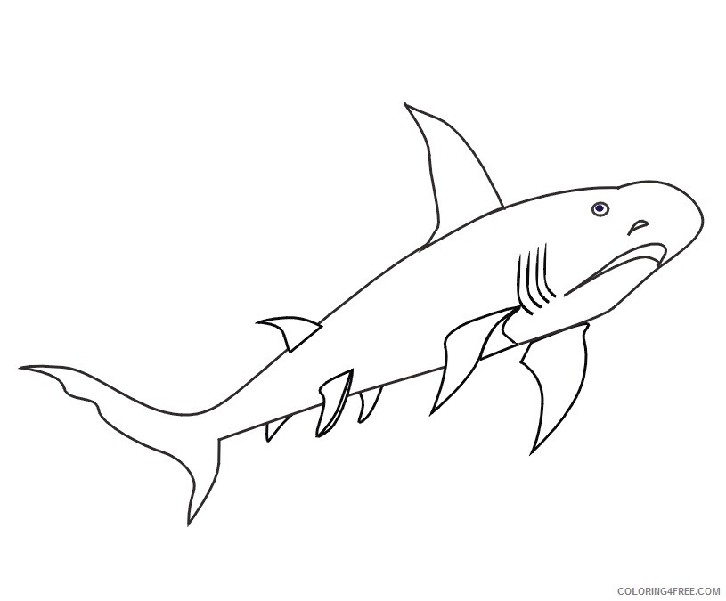 Shark Coloring Sheets Animal Coloring Pages Printable 2021 4041 Coloring4free