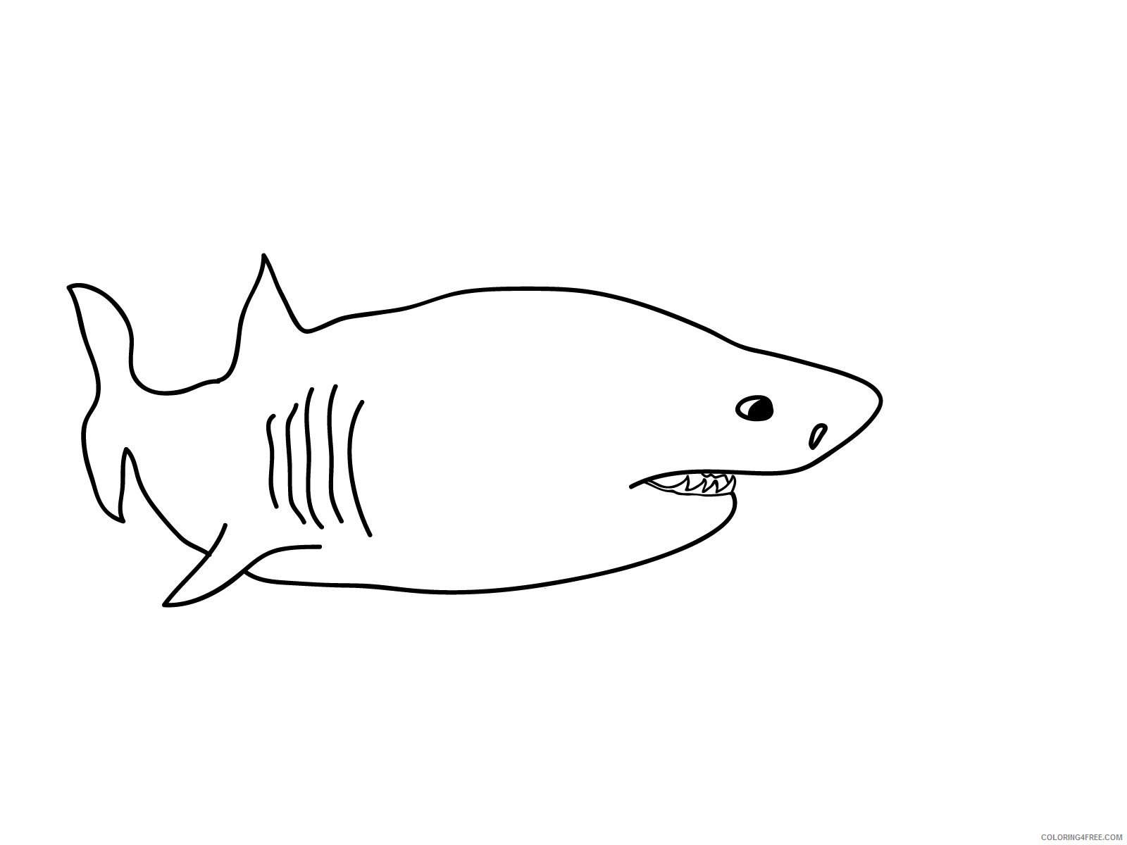 Sharks Coloring Pages Animal Printable Sheets Cartoon Shark 2021 4445 Coloring4free
