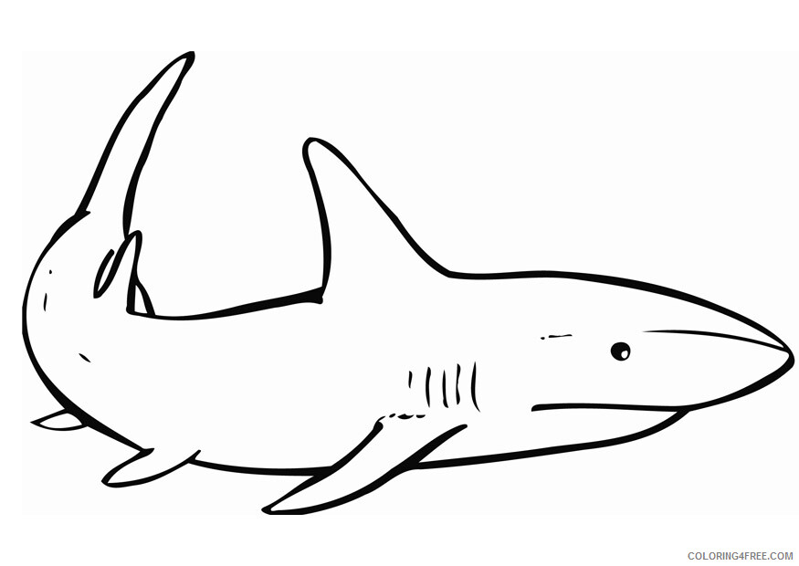 Sharks Coloring Pages Animal Printable Sheets Sharks 2021 4449 Coloring4free