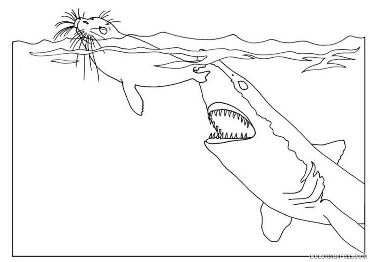 Sharks Coloring Pages Animal Printable Sheets Sharks 2021 4450 Coloring4free