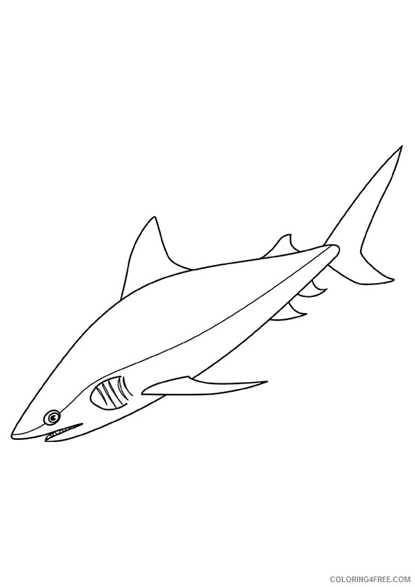 Sharks Coloring Pages Animal Printable Sheets bull shark 2021 4429 Coloring4free