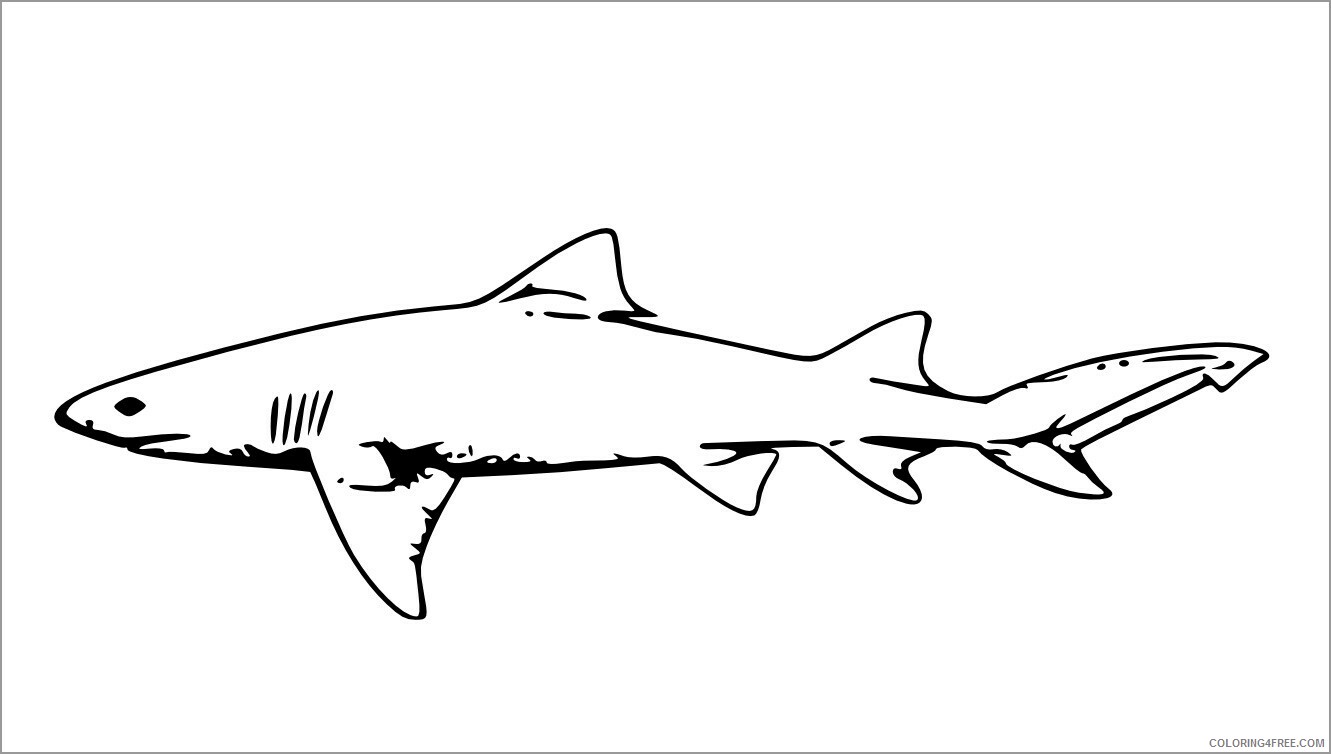 Sharks Coloring Pages Animal Printable Sheets printable realistic shark 2021 4456 Coloring4free