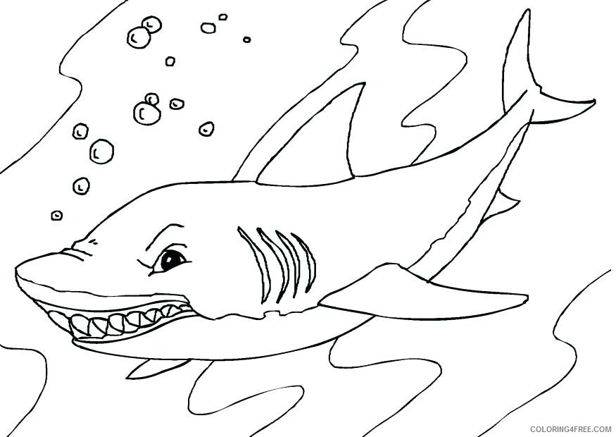 Sharks Coloring Pages Animal Printable Sheets whale shark san jose sharks 2021 Coloring4free