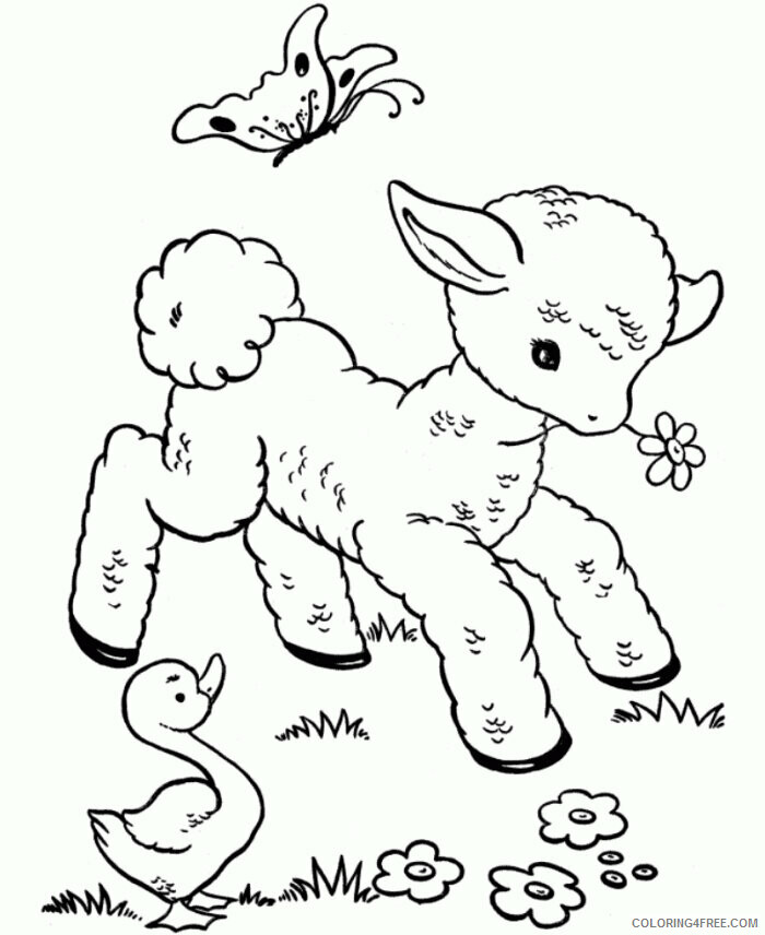 Sheep Coloring Pages Animal Printable Sheets Cute Baby Sheep 2021 4469 Coloring4free