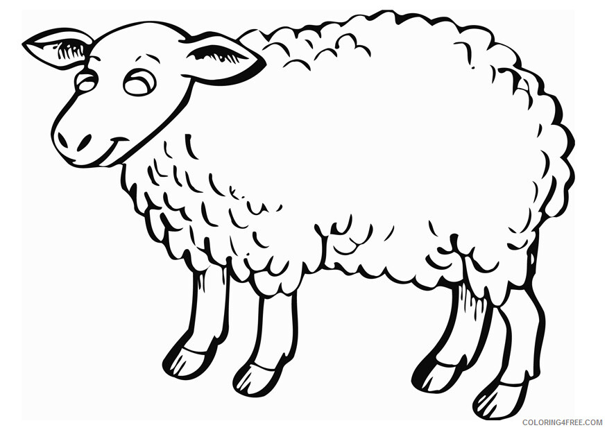 Sheep Coloring Pages Animal Printable Sheets Sheep 2 2021 4489 Coloring4free