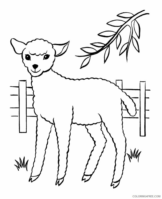 Sheep Coloring Pages Animal Printable Sheets Sheep For Kids 2021 4490 Coloring4free