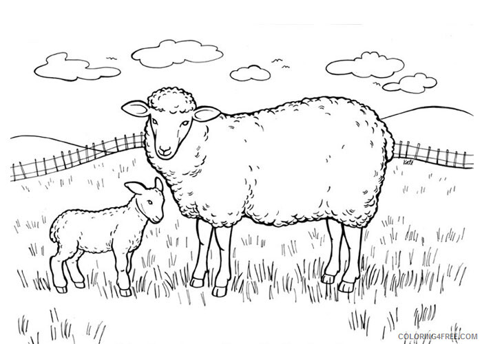 Sheep Coloring Pages Animal Printable Sheets Sheeps 2021 4501 Coloring4free